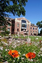 doyle library